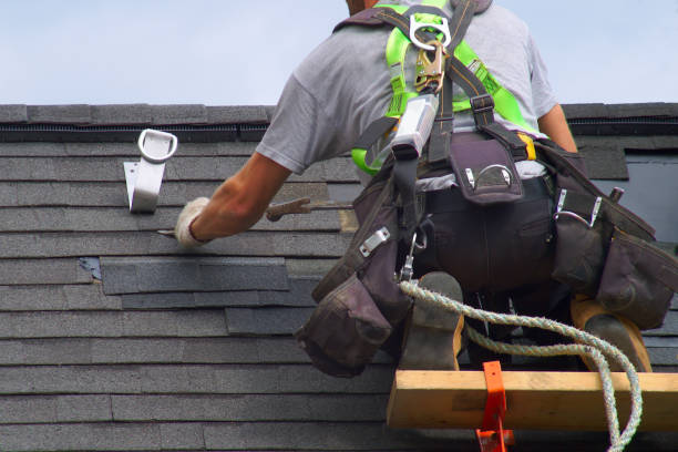 Best Storm Damage Siding Repair  in Sur Hill, GA